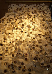 Grommet Medley
